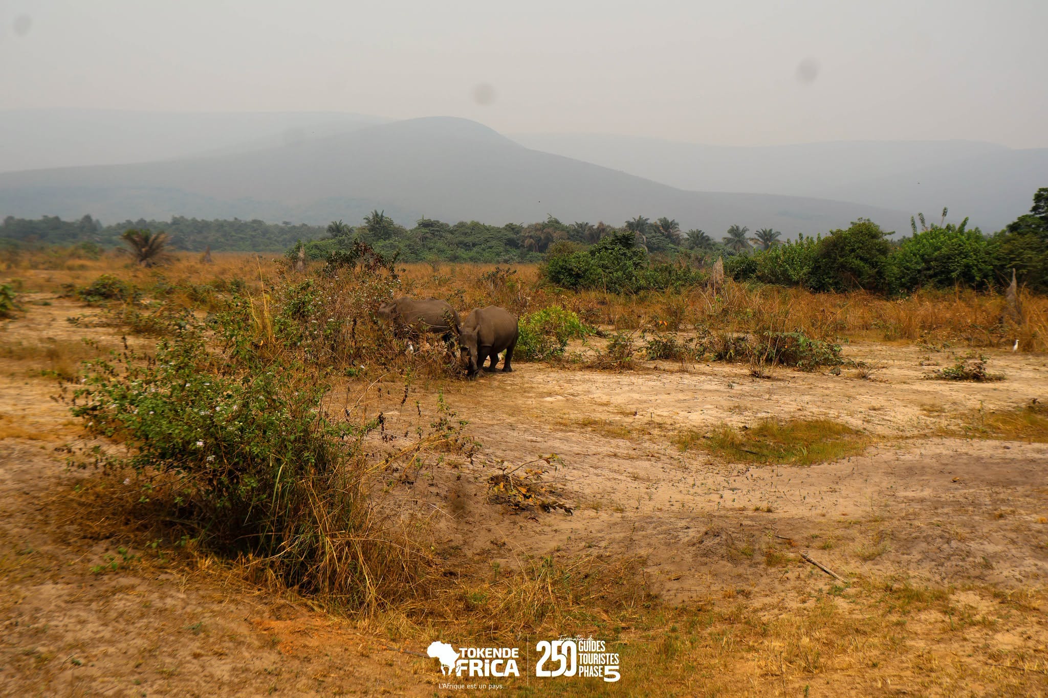 DR Congo Wildlife